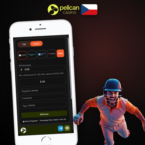Pelican Casino výběr výher — bezpečná peněženka s mincemi a zlatým akcentem