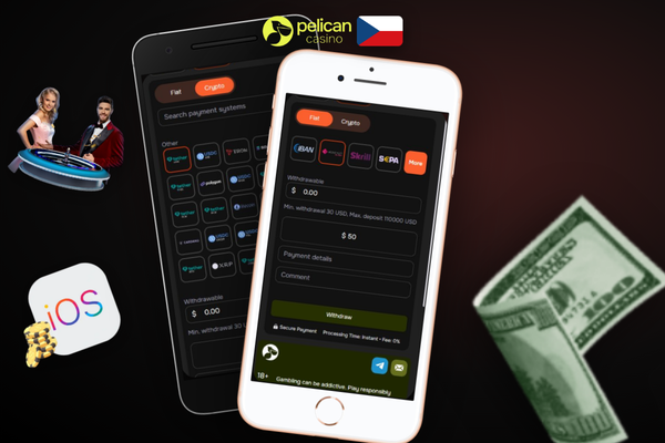 Pelican Casino výběr peněz ve stavu zpracování — přehled čekací doby